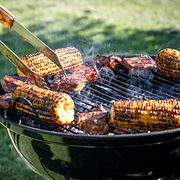 Grillning i Dalarna sommaren 2024.