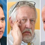 Stefan Löfven, Leif GW Persson, Dan Eliasson.