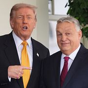 Donald Trump och Viktor Orbán.