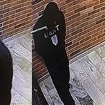 Polisens övervakningsbilder