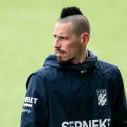 Hamsik. Arkivbild.