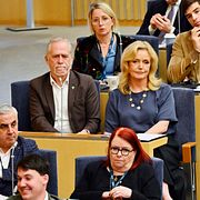 Miljöpartiets språkrör Daniel Helldén och Centerpartiets partiledare Elisabeth Thand Ringqvist under torsdagens statsministeromröstning.