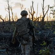 Soldat i Ukraina. 