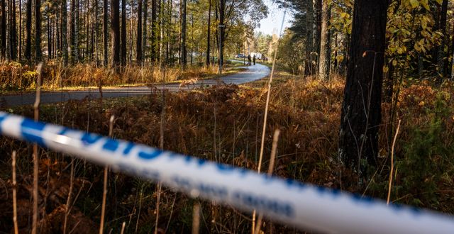 Polisavspärrningar på den plats i Sandviken där en 16-årig pojke sköts ihjäl i oktober. Emma-Sofia Olsson/SvD/TT