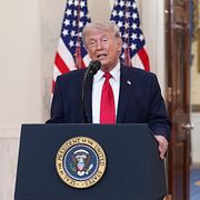 Donald Trump under talet.