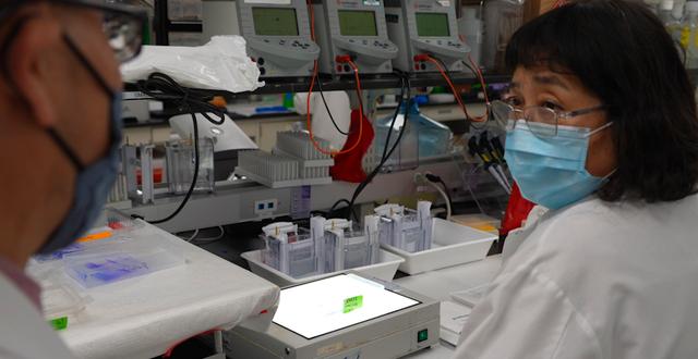 Forskare arbetar med Novavax-vaccinet i Gaithersburg, USA, 24 maj 2022.  Angie Wang / AP