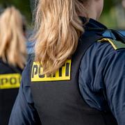Arkivbild, dansk polis. 
