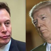 Elon Musk. Donald Trump. Arkiv.