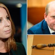 En nominering av Erlandsson sätter Annie Lööf i en svår sits, säger K-G Bergström.