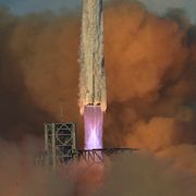 Space X-roboten Starship lyfter.