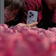 En kvinna i Peking fotograferar tulpaner med sin smarta telefon.