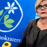 Chatrine Pålsson Ahlgren, ordförande för KDs valberedning.