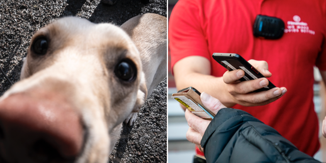 Coronahund eller vaccinpass? Nya orden 2021, enligt Språkrådet. TT
