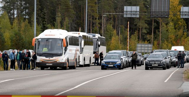 Gränsen mellan Ryssland och Finland. Jussi Nukari / AP