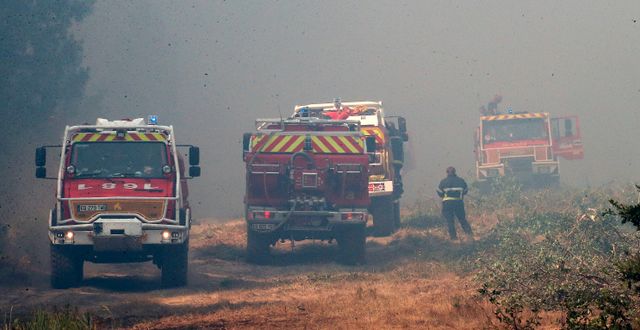 Brandbekämpning i Europa. Bob Edme / AP