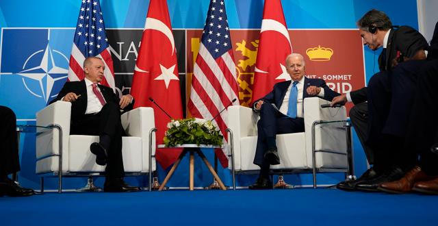 Erdogan och Biden, arkivbild.  Susan Walsh / AP
