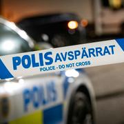 Arkivbild. Polis. 