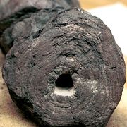 En förkolnad papyrusrulle från Herculaneum, arkivbild.