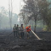 Brandmän försöker släcka skogsbränder i Indonesien.