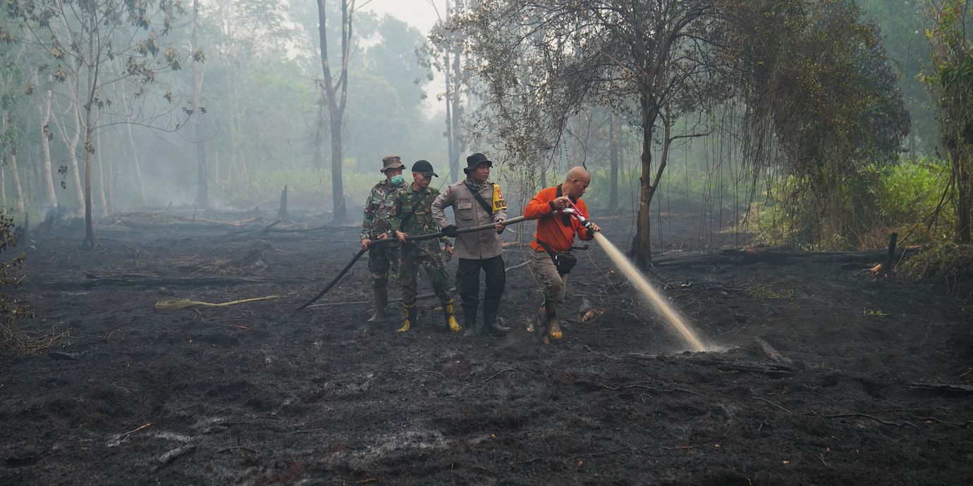 Brandmän försöker släcka skogsbränder i Indonesien.