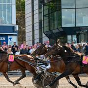 Björn Goop med San Moteur vinner kvallopp 2 inför Elitloppet 2023