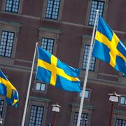 Sveriges Nationaldag, svenska flaggor svajar utanför slottet.