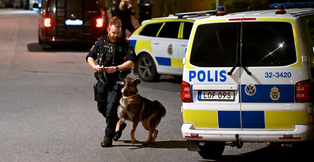 Hundpatrull på plats efter mordet. Anders Wiklund/TT