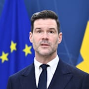 Migrationsminister Johan Forssell (M).