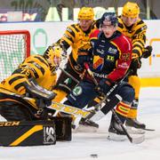 Djurgårdens William Eklund och Skellefteås målvakt Arvid Söderblom och Linus Lindström.