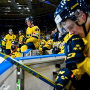 Svenska spelarna deppar efter slutsignalen. 