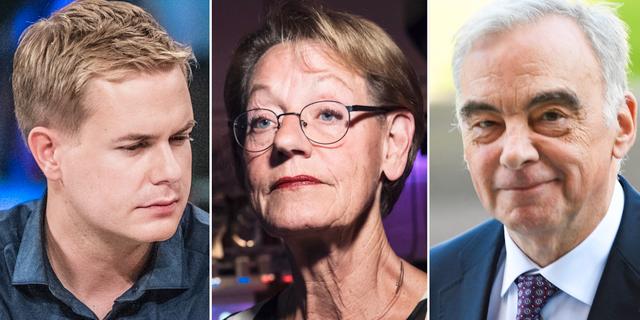 Gustav Fridolin, Gudrun Schyman och Lars Leijonborg. TT