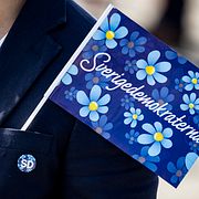 Vimpel för Sverigedemokraterna. Illustrationsbild.