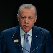 Turkiets president Reccep Tayyip Erdogan