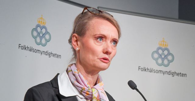 Karin Tegmark Wisell. Fredrik Sandberg/TT / TT NYHETSBYRÅN