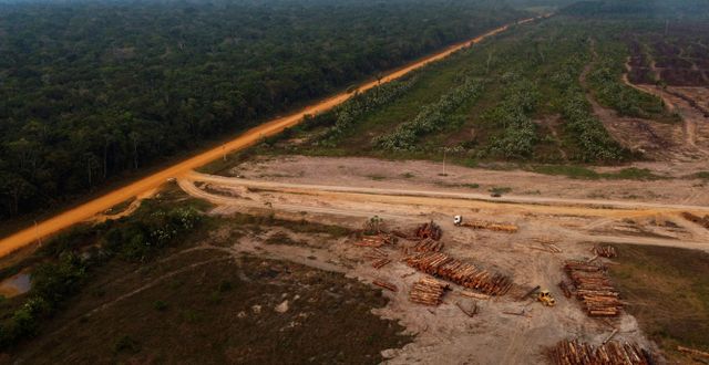 Ett kalhygge i Amazonas Edmar Barros / AP