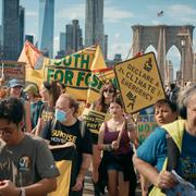 Arkivbild från klimatprotest i New York 2024. 
