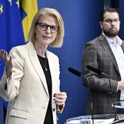 Finansminister Elisabeth Svantesson (M) och Sverigedemokraternas partiledare Jimmie  Åkesson presenterade nyheten om en folkräkning på en pressträff.