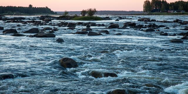 Kukkolaforsen i Torne älv. Helena Landstedt/TT