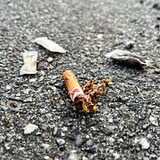 Fimpar och snus är det vanligaste skräpet.