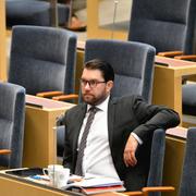 Sverigedemokraternas partiledare Jimmie Åkesson. 