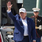 Donald Trump.