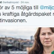 MP:s Åsa Romson.