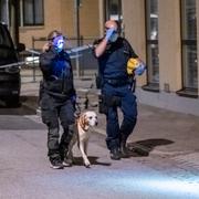 Polisen söker med hundar vid Österportsskolan.