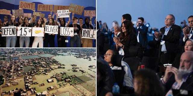 Aktivister på plats på COP27/Översvämningarna i Pakistan/Stående ovation på klimattoppmötet. TT