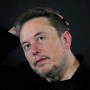 Musk. Arkivbild.