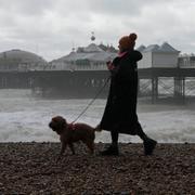 Arkivbild från Brighton. 