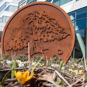 Utanför Swedbanks huvudkontor i Sundbyberg i Stockholm.