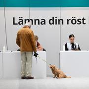 Människor förtidsröstar i en vallokal för förtidsröstning på Centralstationen i Stockholm.