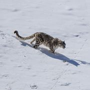 Arkivbild, tagen i Himalaya.