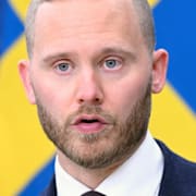 Svantesson/Illustrationsbild/Vinge.